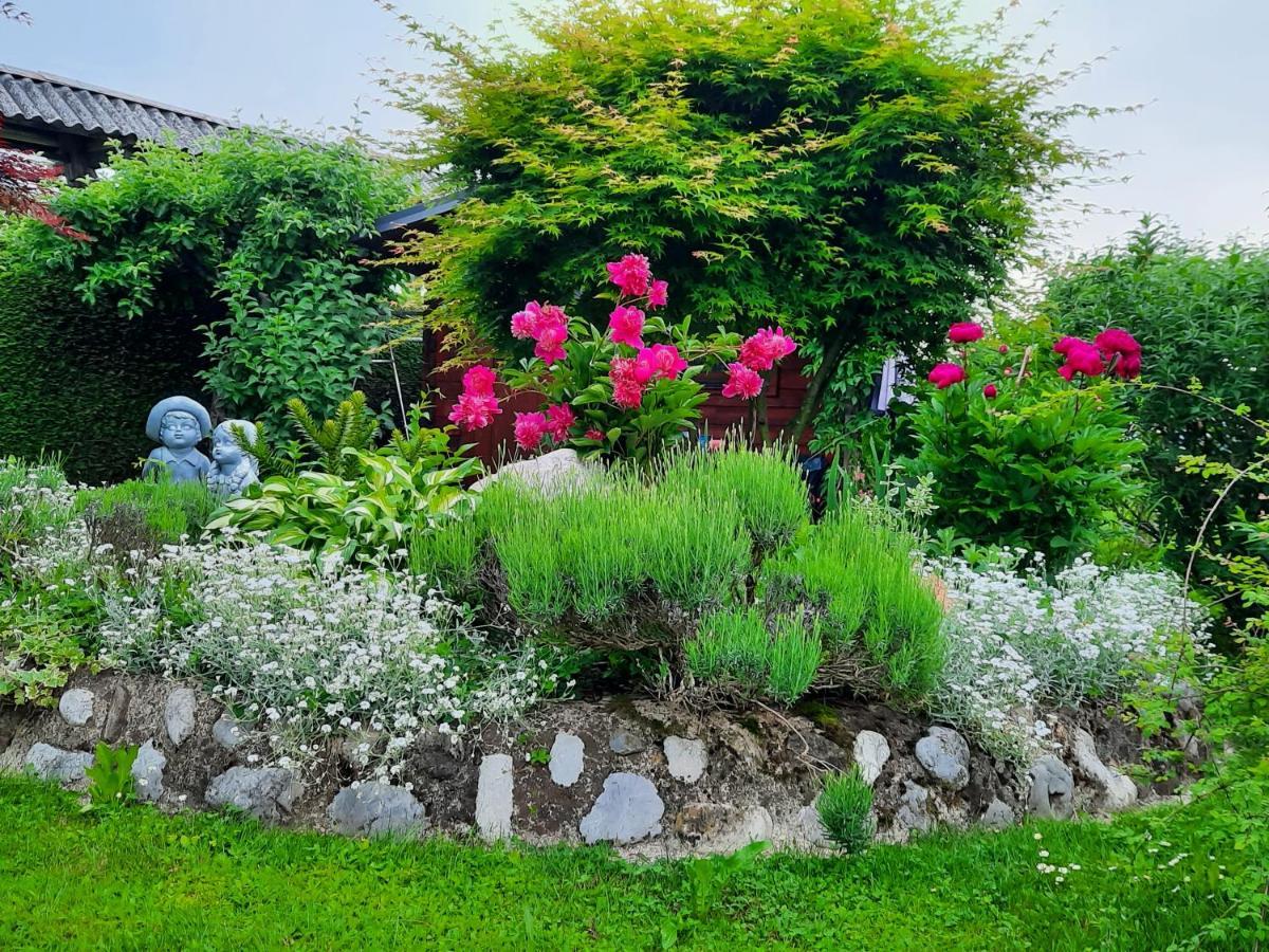 Garden Paradise Bled Apartments - Garden, Pond And Castle View المظهر الخارجي الصورة
